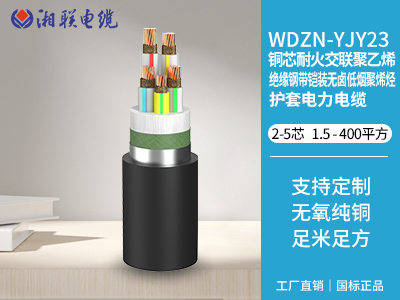 銅芯耐火交聯(lián)聚乙烯絕緣鋼帶鎧裝無鹵低煙聚烯烴護(hù)套電力電纜