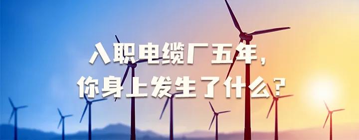 入職電纜廠五年，你身上發(fā)生了哪些變化~